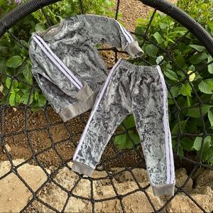 NWOT!! Velvet 3t-4t 2 piece tracksuit!